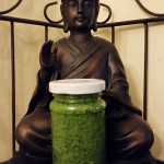 Bärlauchpesto