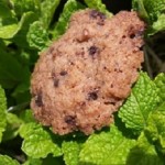 Leinsamen-Schoko Kekse